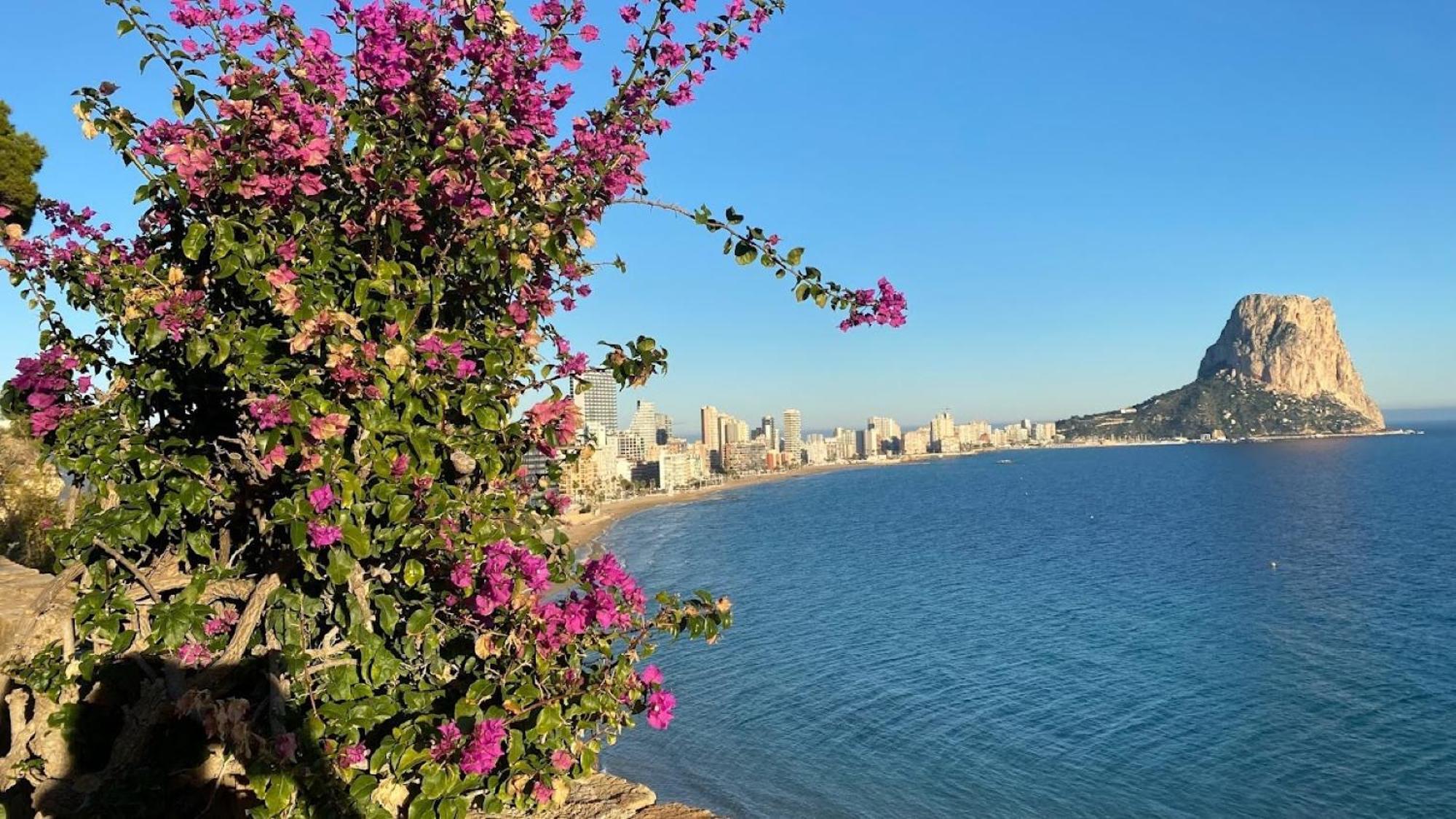 Timora Sea View New Apart' Hipocampos Calpe Exteriör bild