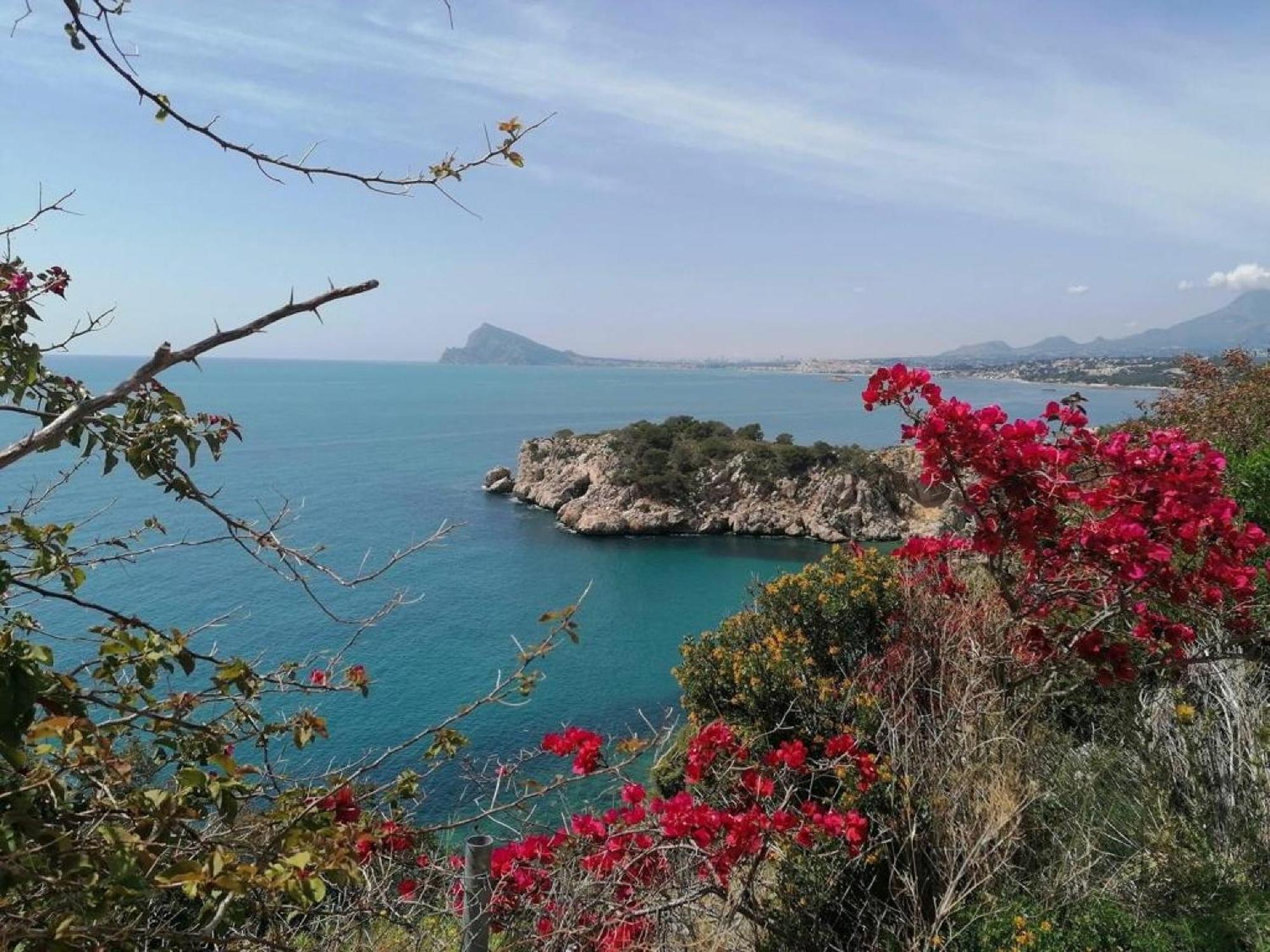 Timora Sea View New Apart' Hipocampos Calpe Exteriör bild