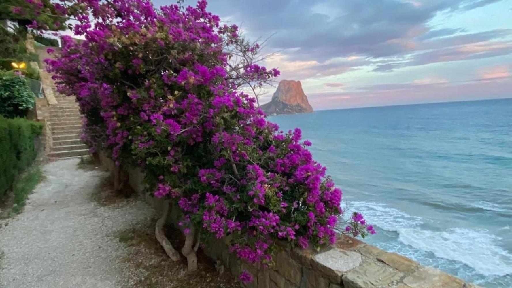 Timora Sea View New Apart' Hipocampos Calpe Exteriör bild