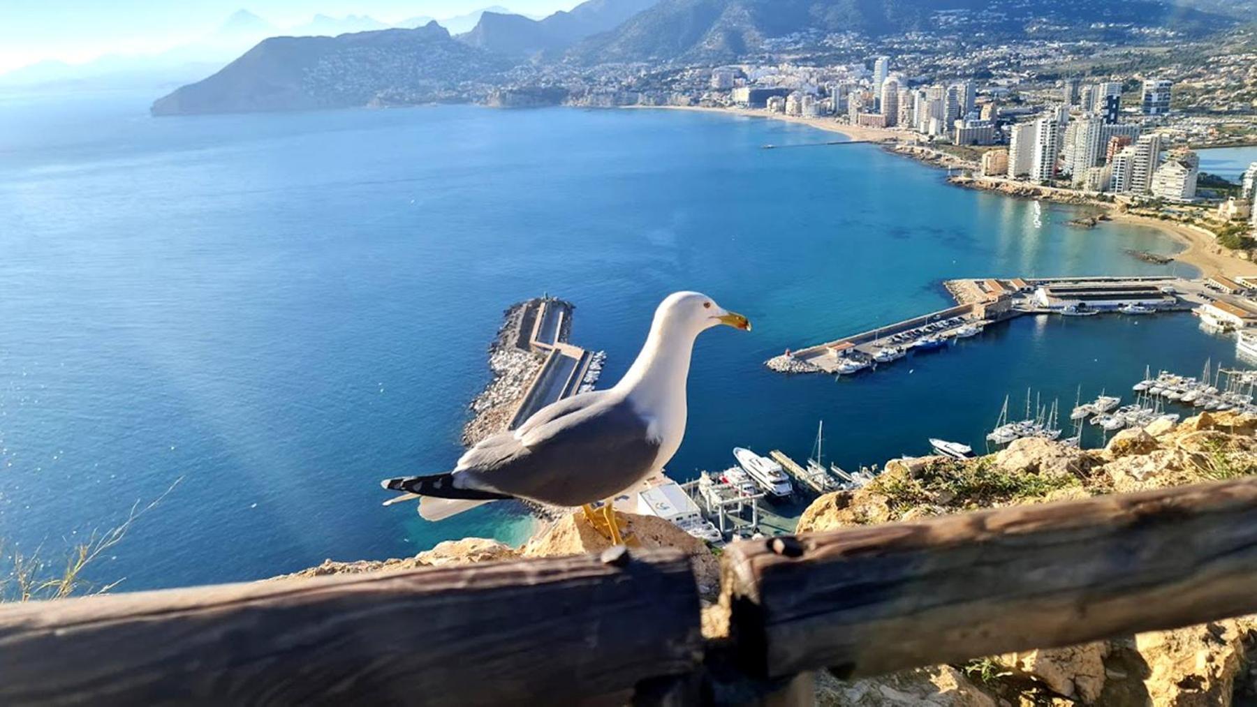 Timora Sea View New Apart' Hipocampos Calpe Exteriör bild